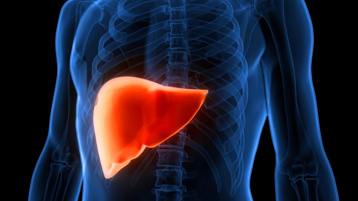 Cannabis compounds may reverse fatty liver disease, study suggests