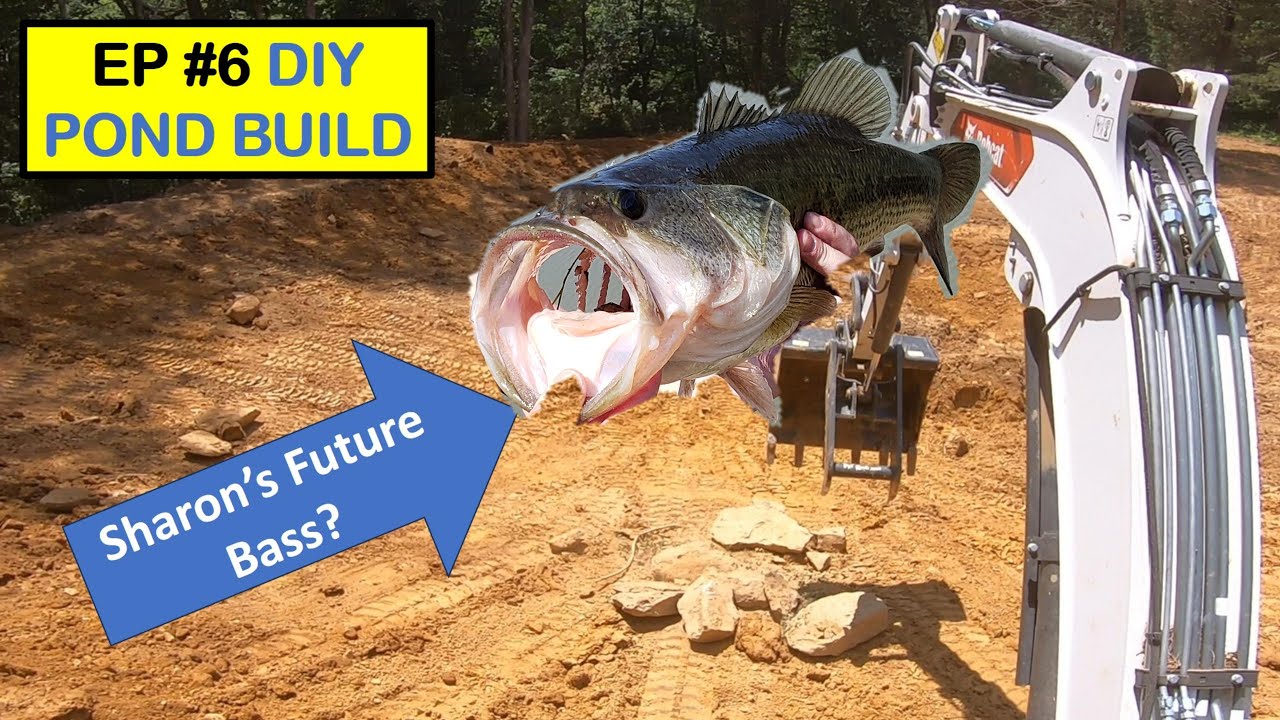 How adding rock piles transformed my pond: the fish habitat secret that ...