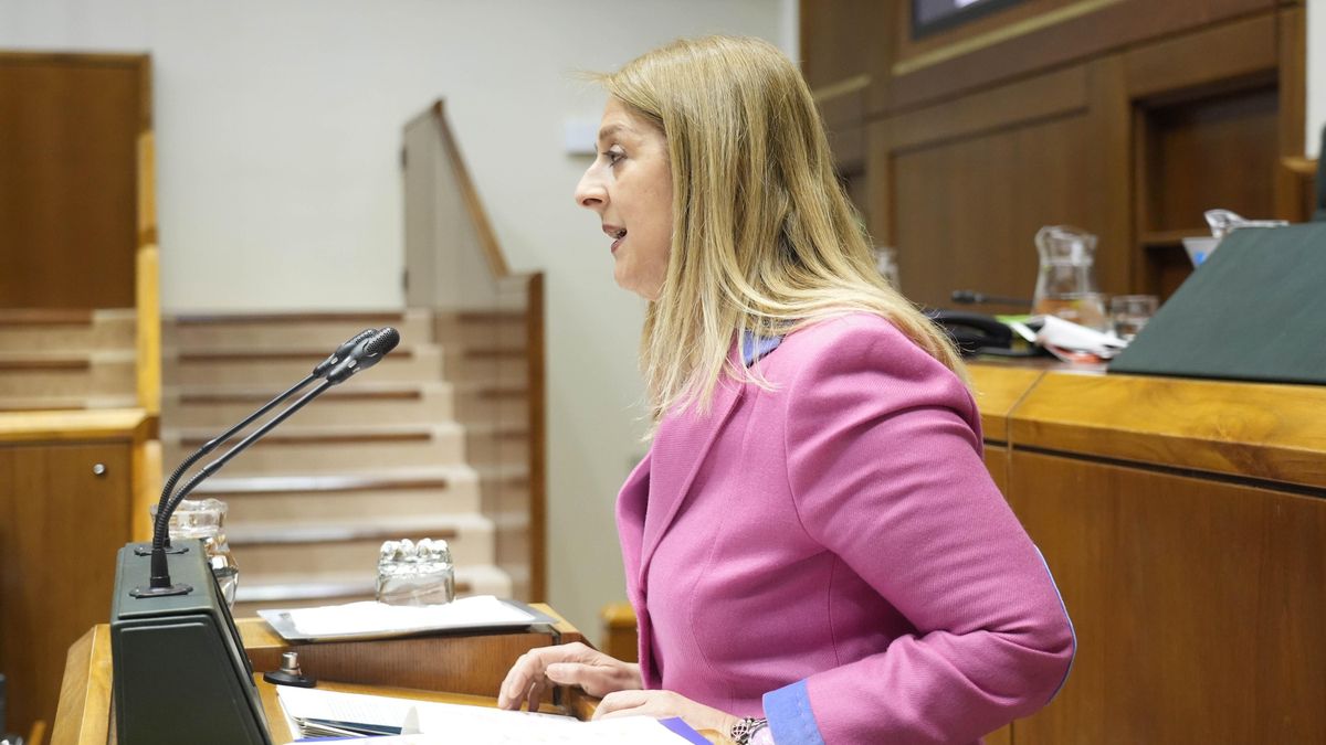 El PP presenta una ley en el Parlamento Vasco para que no sean ...