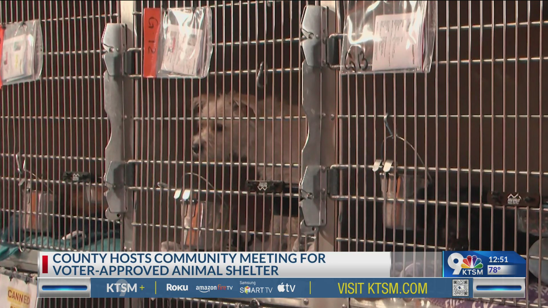 El Paso County seeks public input for animal shelter project