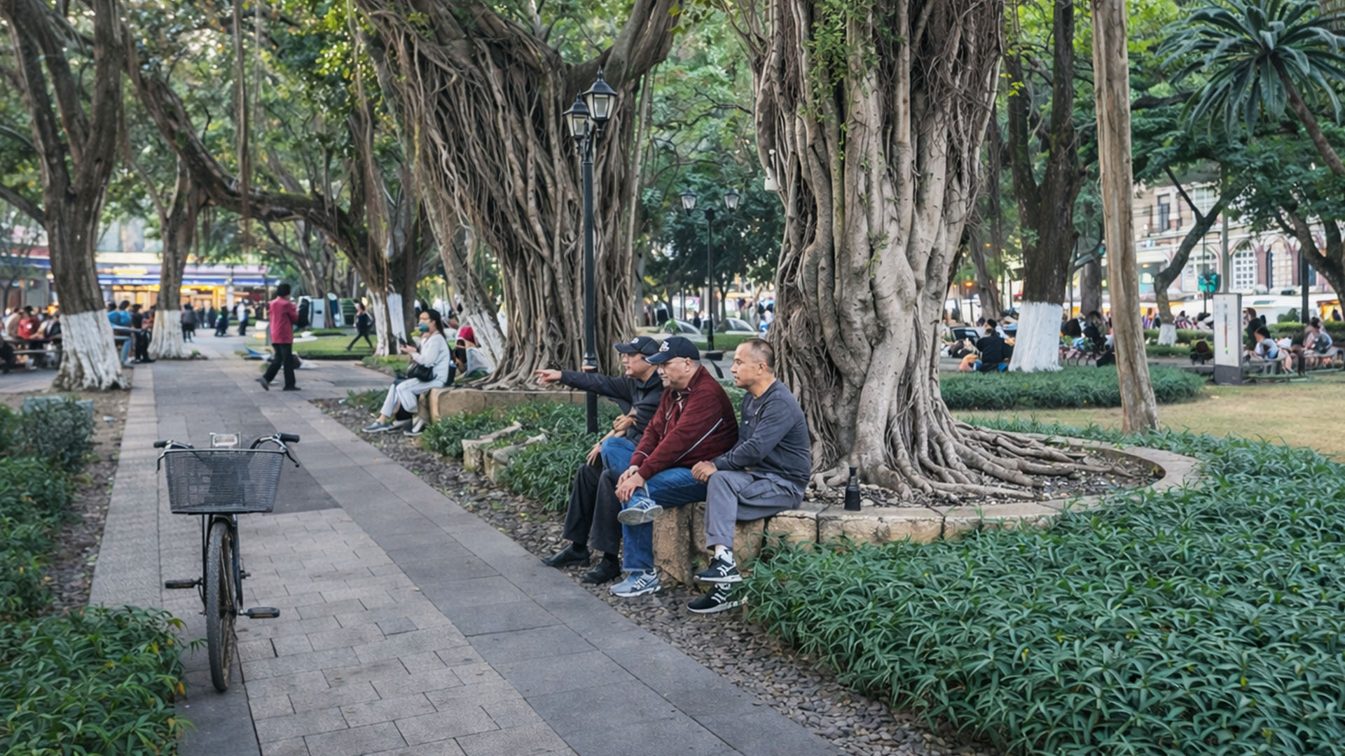 Banyan Trees Shape Historic Park Atmosphere China
