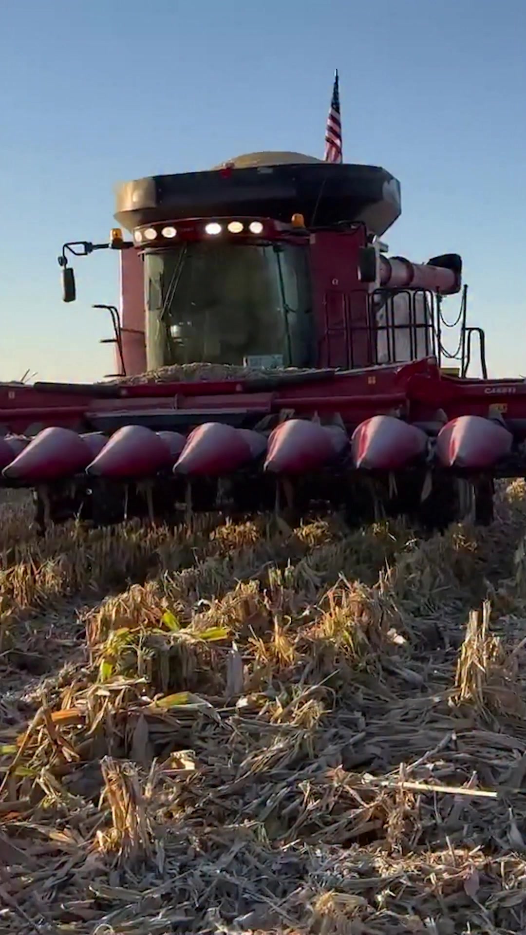 The sounds of corn harvesting