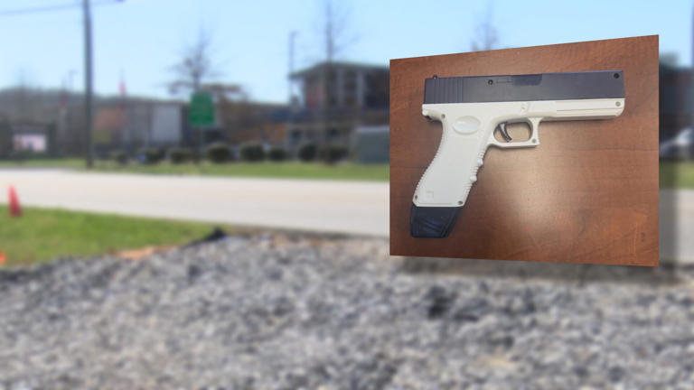 Water gun used in ‘Senior Assassin’ game leads to lockdown, arrest at ...