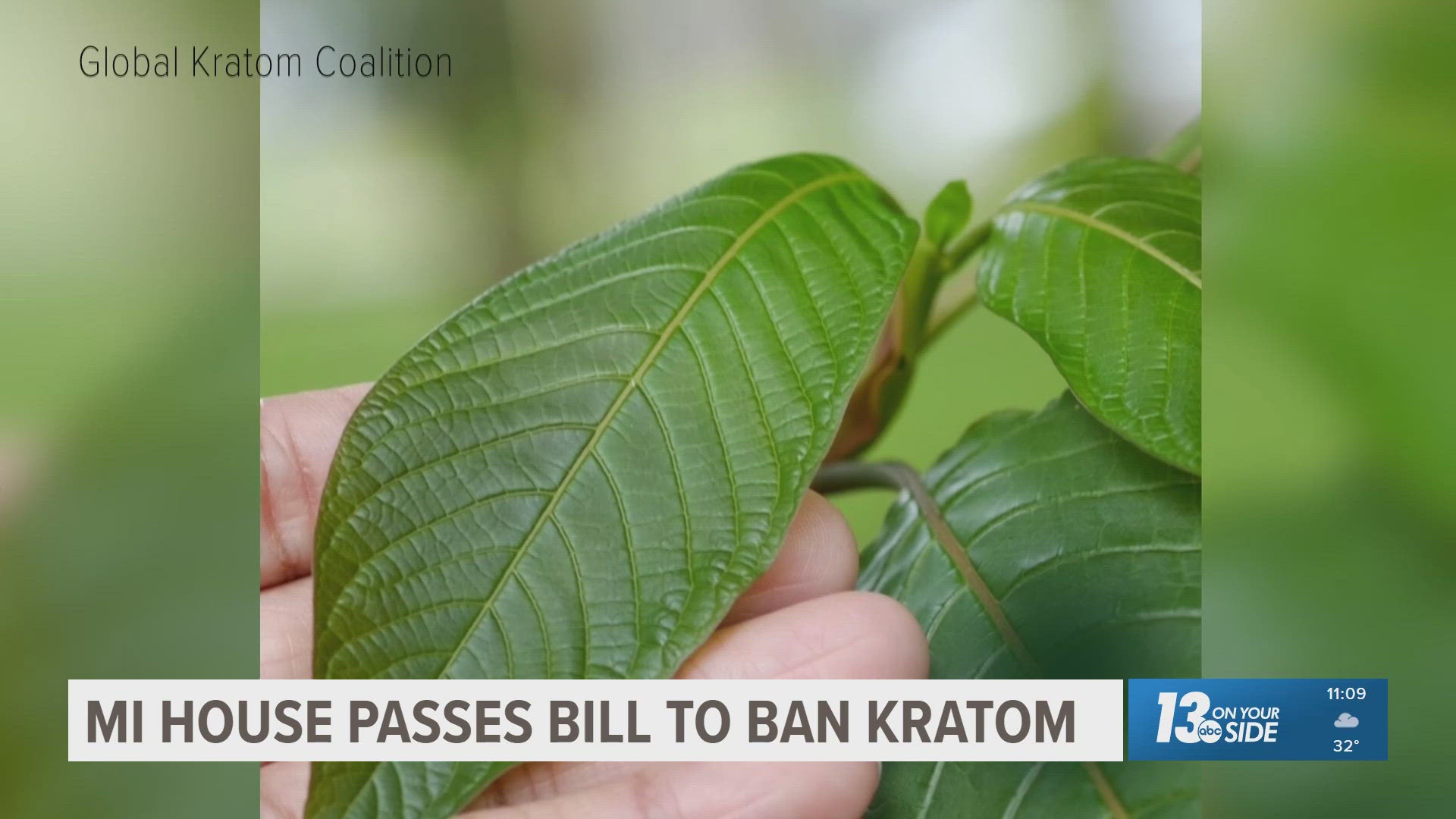 Michigan House passes bill to ban kratom