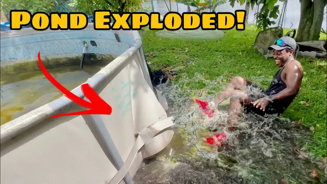 One mistake turned this man's pool pond into a leaking green disaster