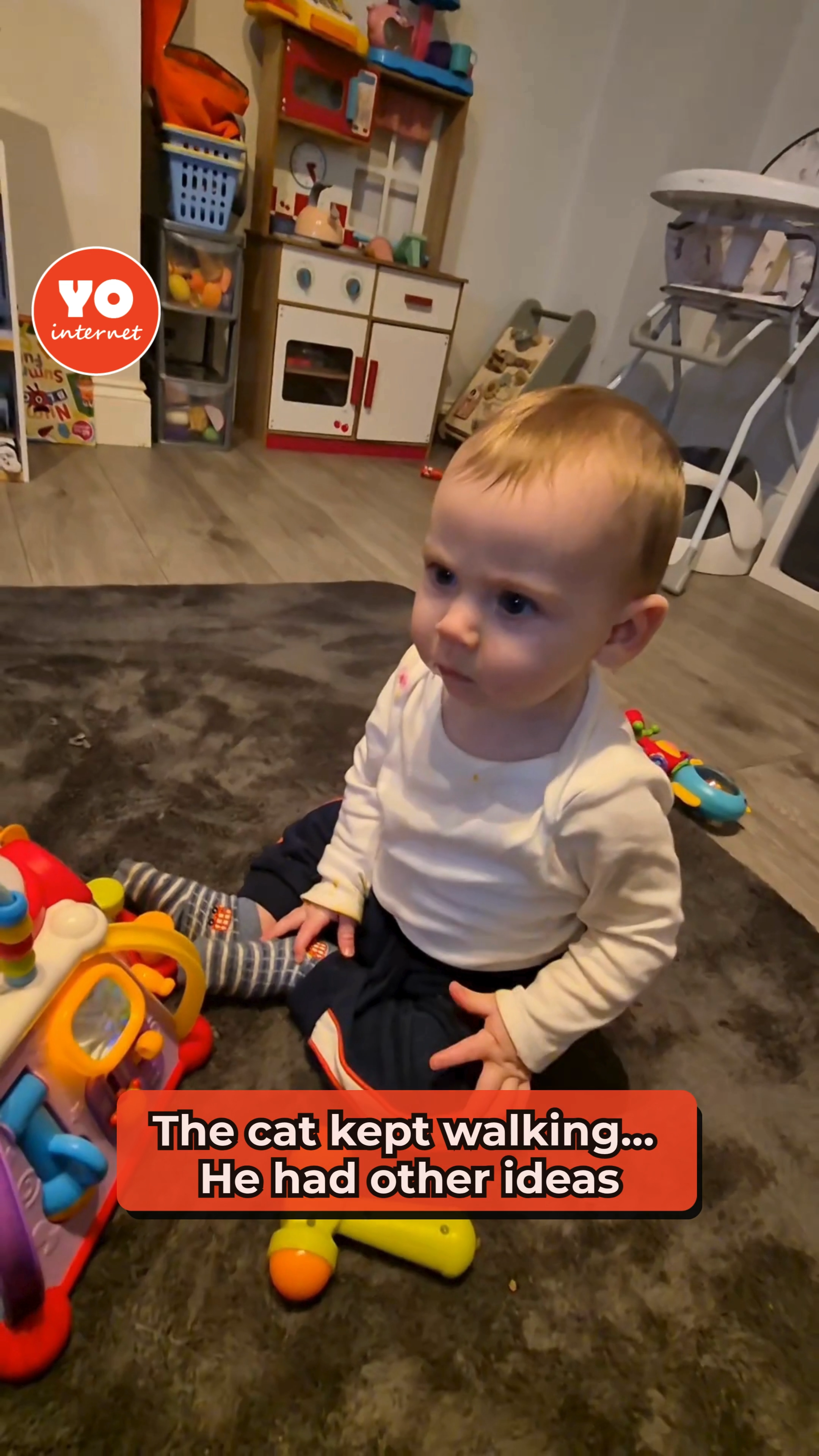 Young child attempts to nibble a cat’s tail before mother intervenes