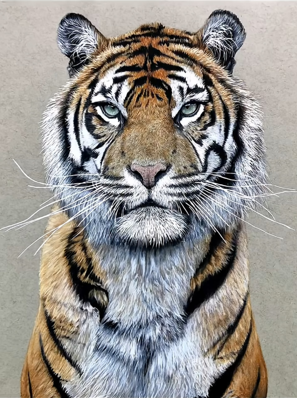 The powerful art behind this Sumatran tiger