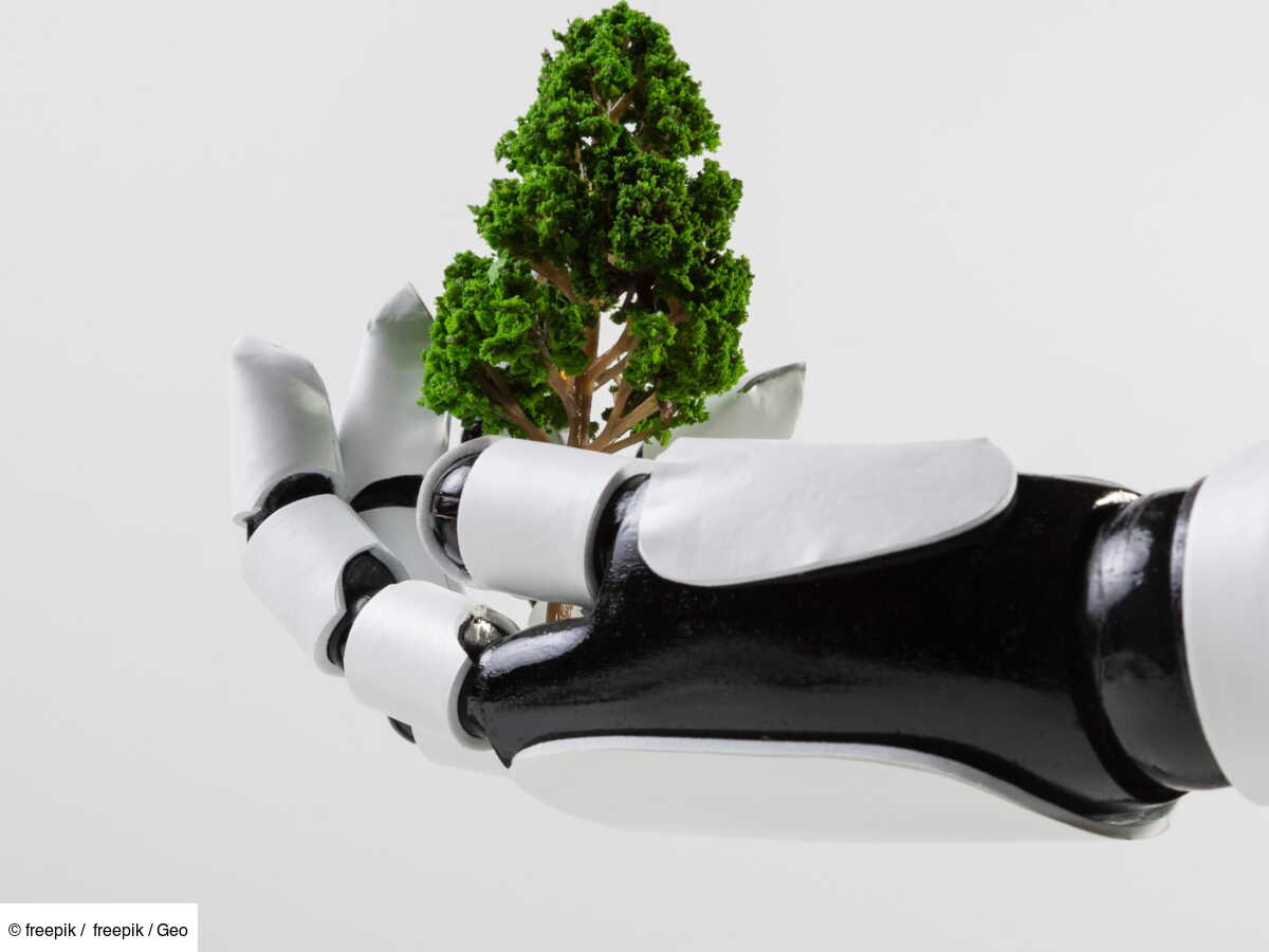 Ce robot mou compostable fonctionne plus d’un million de fois avant de ...