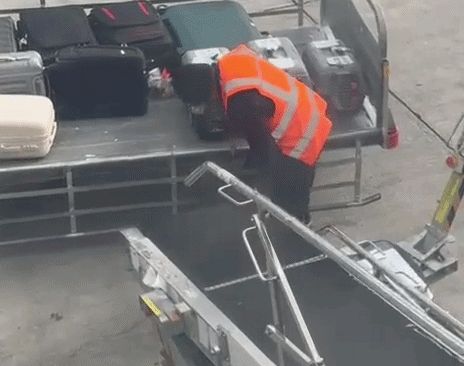 Airport worker gently welcomes rescue animals<br><br>