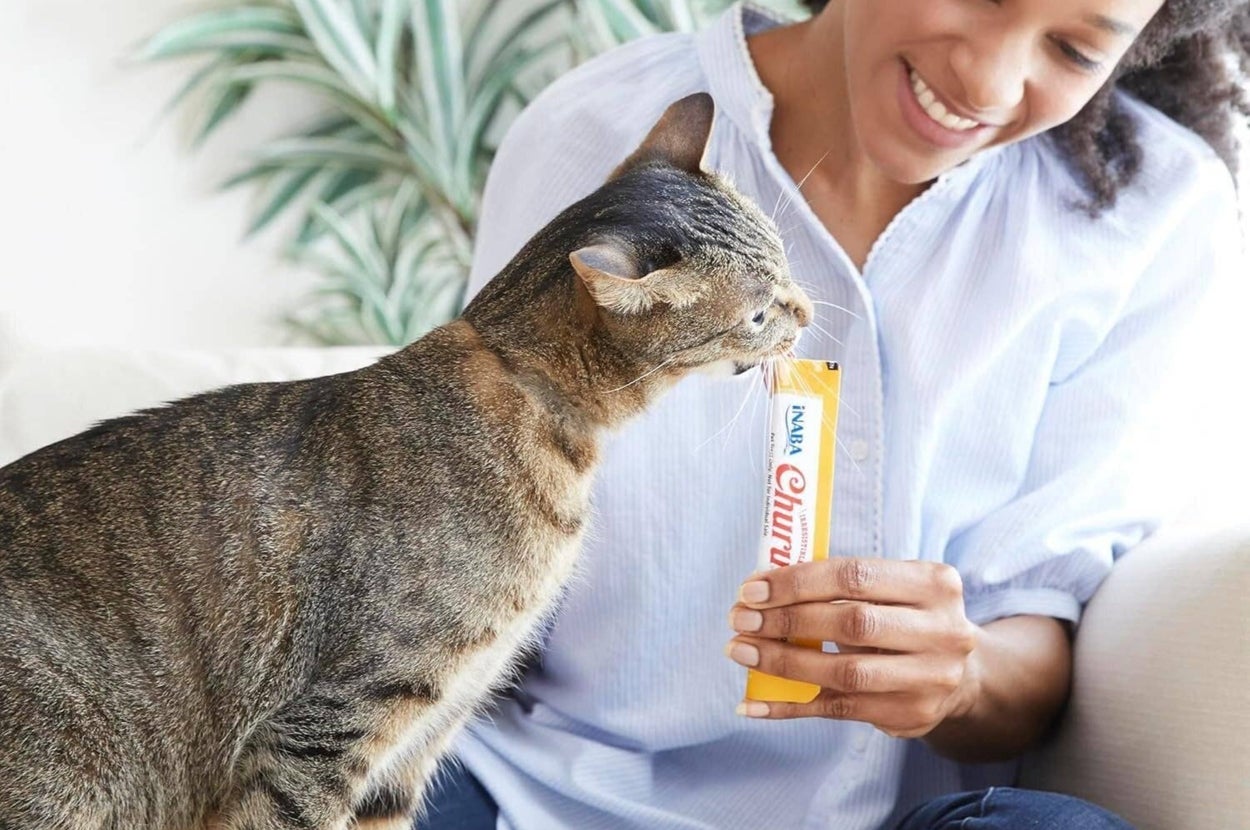 My picky cats are obsessed with these squeezable treats — a vet ...