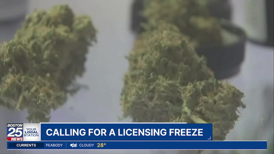 Cannabis regulators mull extension to help struggling licensees