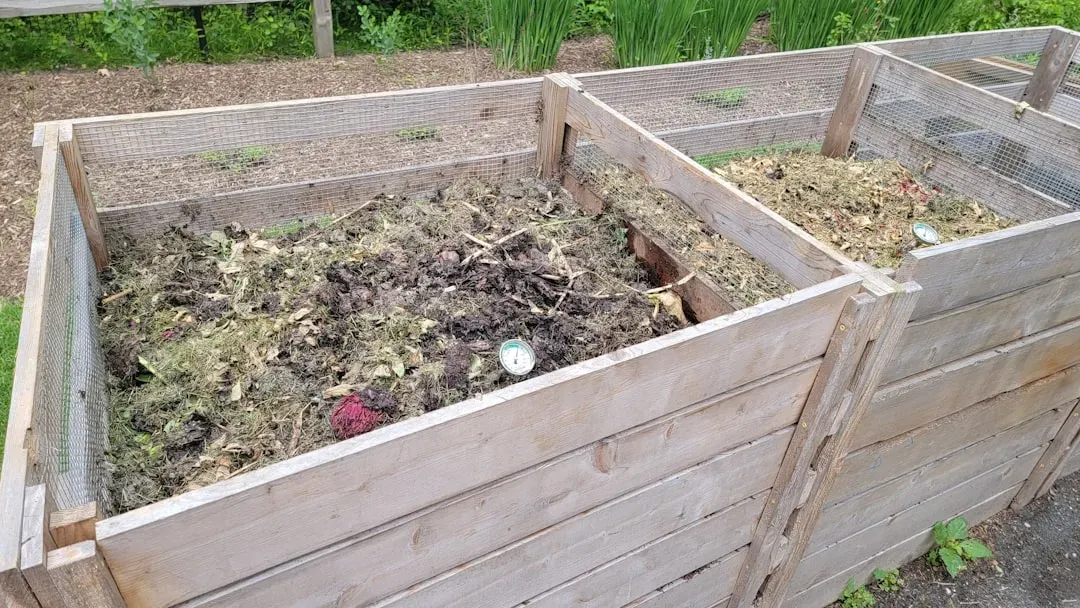 Why I stopped composting - and why it might not be as green as you think
