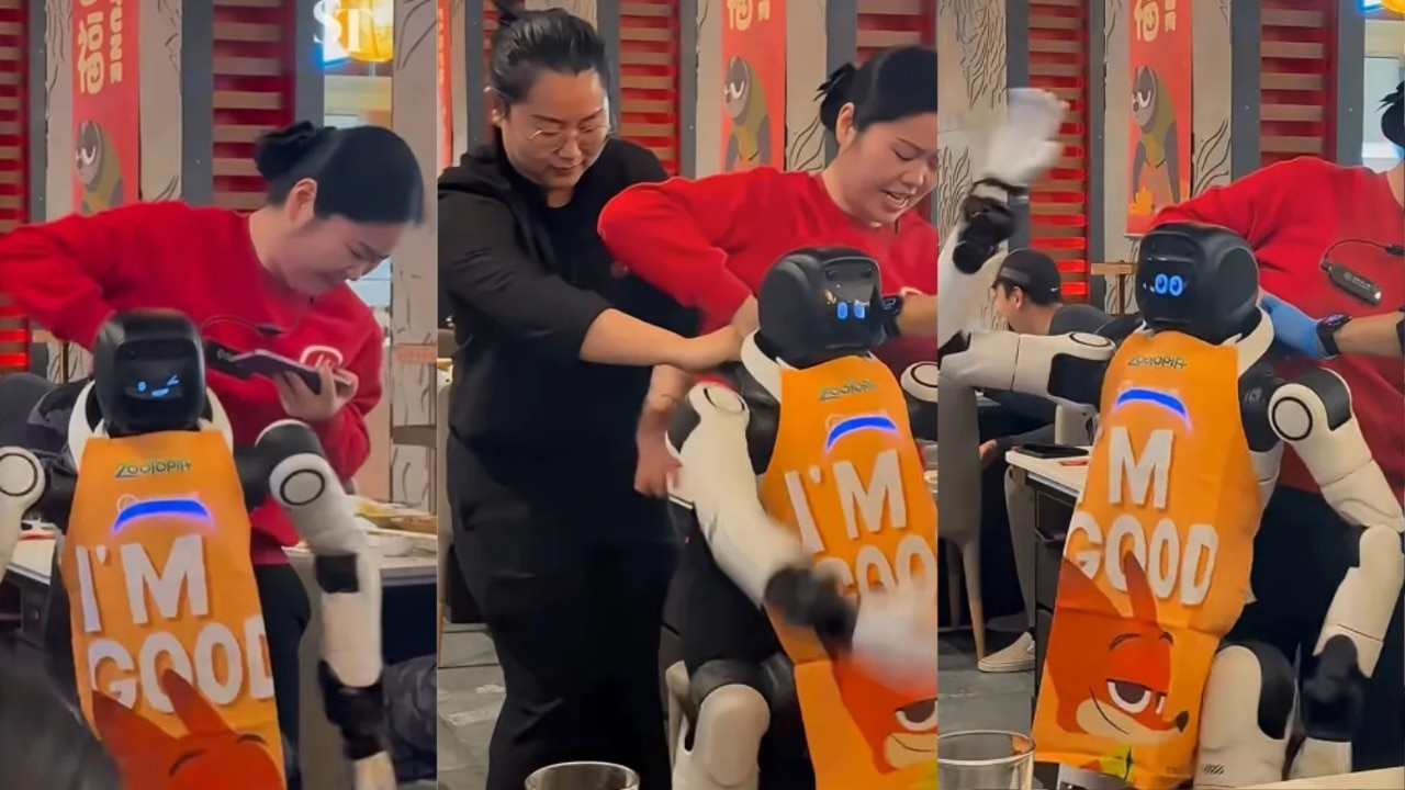 Humanoid robot loses its mind in California restaurant, breaks dishes ...