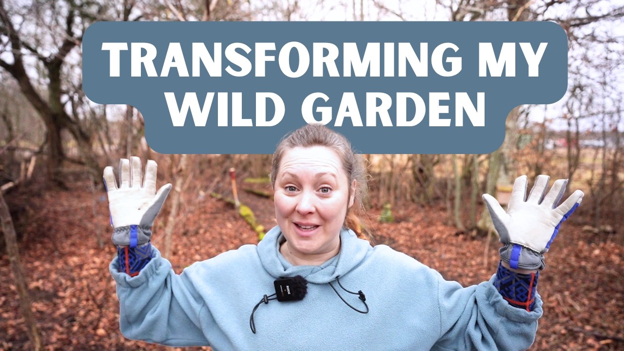 Starting the woodland garden I have been planning for years