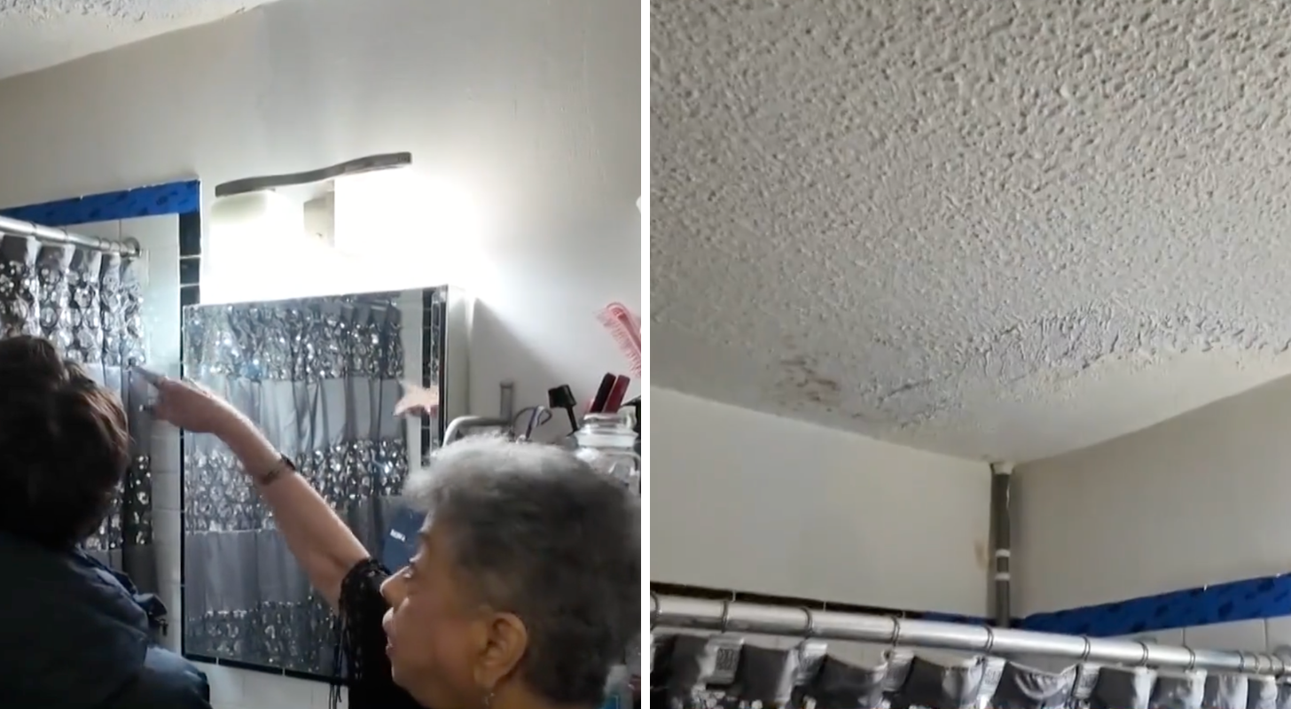 Affordable housing complexes in NYC are inundated with mold, financial ...