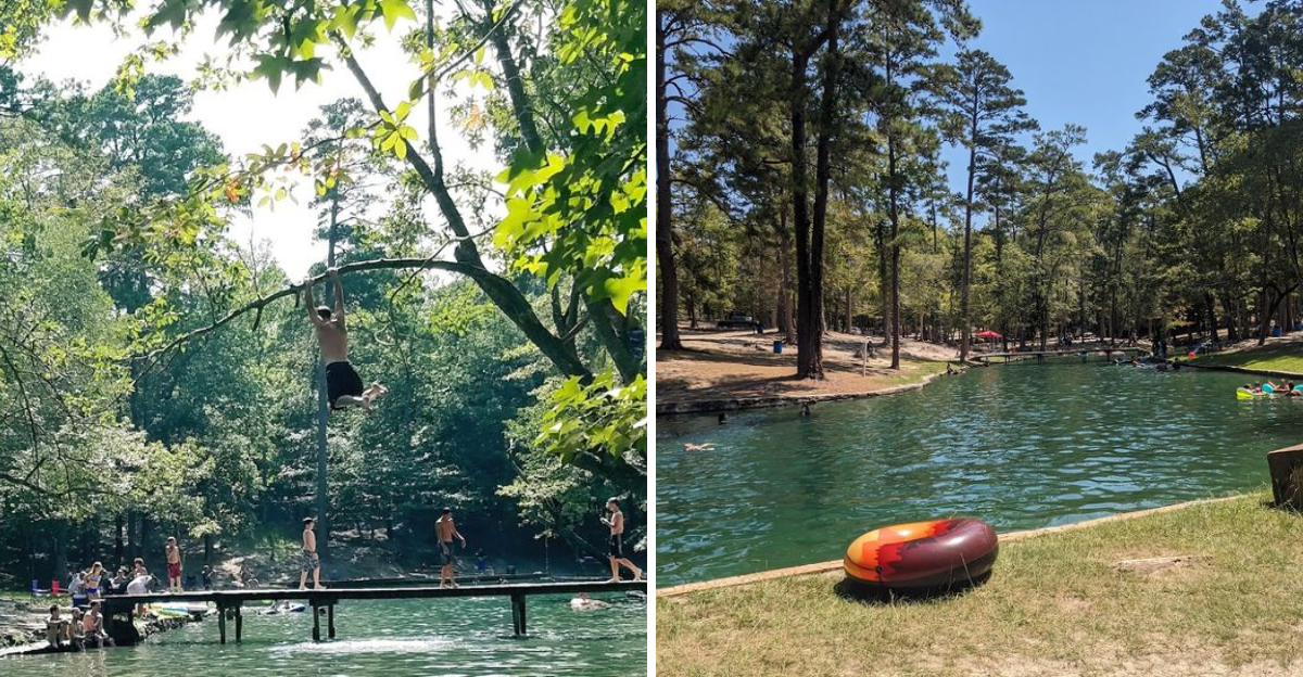 The hidden spring in Texas with crystal-clear water and a laid-back ...