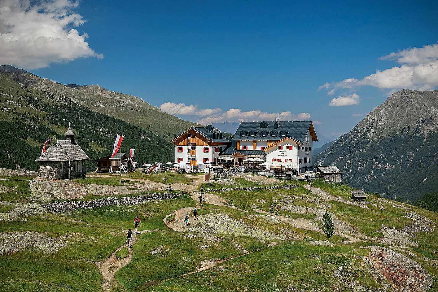 AAA cercasi volontari per un mese gratis in un rifugio nel Parco dello ...