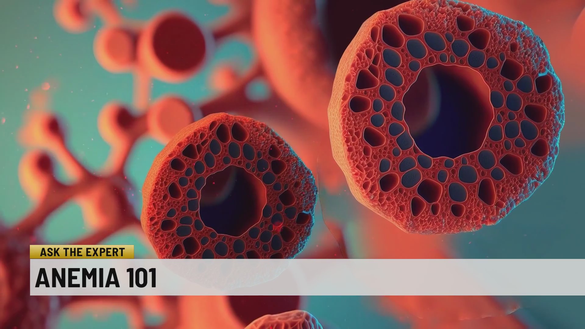 Ask the expert: Anemia 101