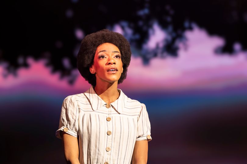 Review: Tina - The Tina Turner Musical at Leeds Grand Theatre 'more ...