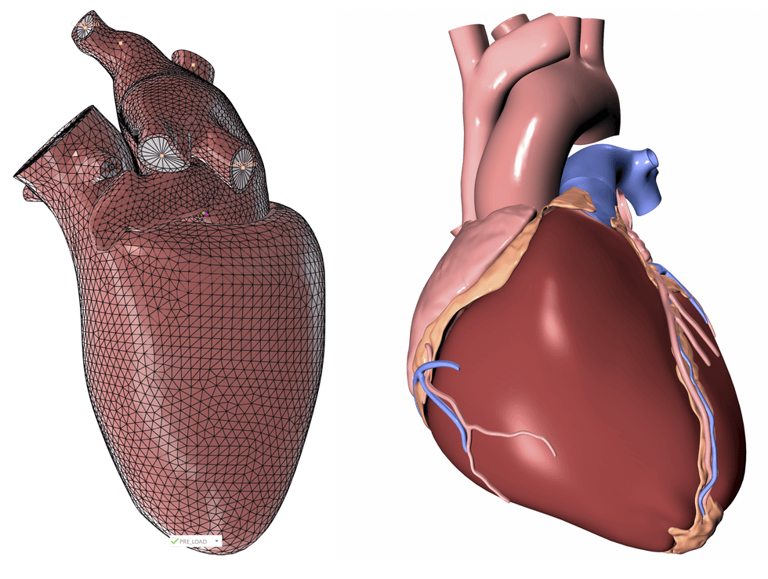 How your virtual twin could one day save your life