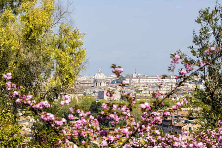 20 o 21 marzo? Ecco la data del primo giorno di primavera nel 2026