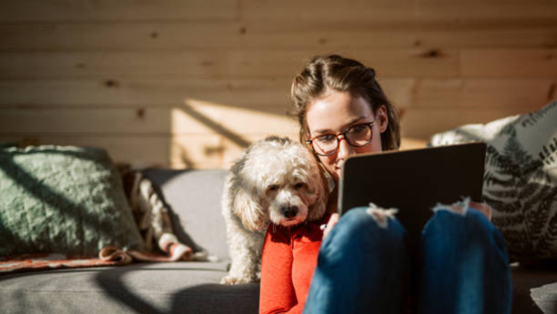 The cute dog myth: Why “designer breeds” are not as easy as we think