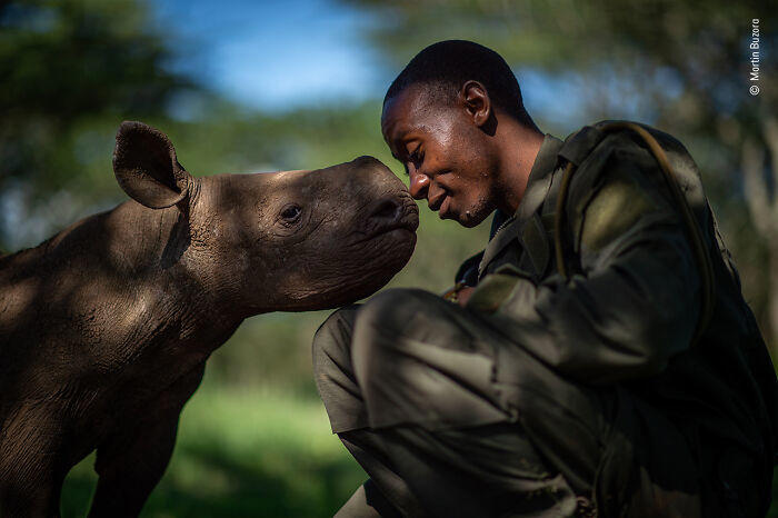 38 photos honored in the Wildlife Photographer of the Year contest