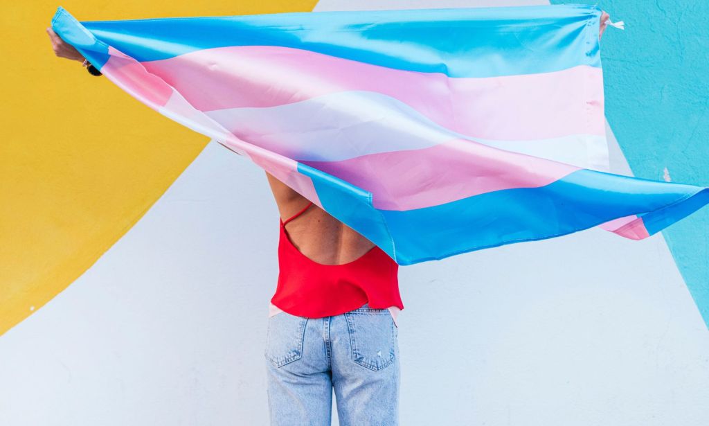 Tennessee GOP advances bill that would create public list of trans ...