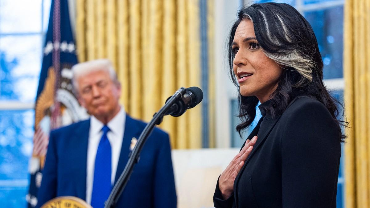 Tulsi Gabbard has 'lost all credibility' with Donald Trump, claims Bill