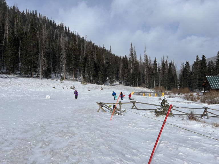 From snow play to wildlife: Top 9 things to do in Rocky Mountain ...