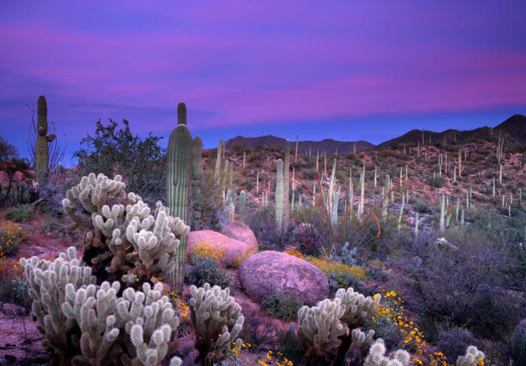 I live in Arizona, and this national park shines in spring