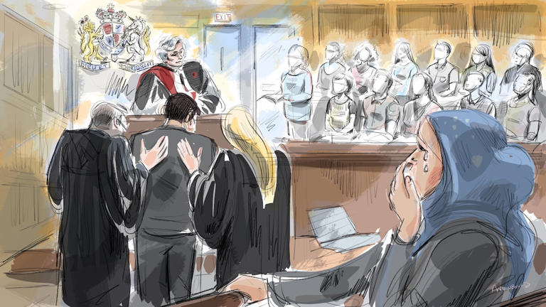 Umar Zameer's lawyer calls for public inquiry after Doug Ford, police ...