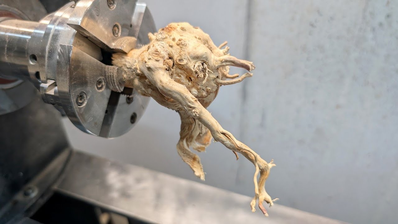 The ugly tree root transformation you won't believe