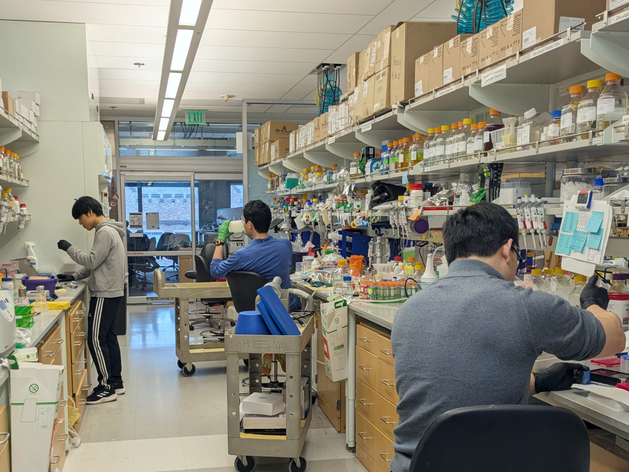 From computer to lab to market: Nobel winner David Baker lands $7M for ...