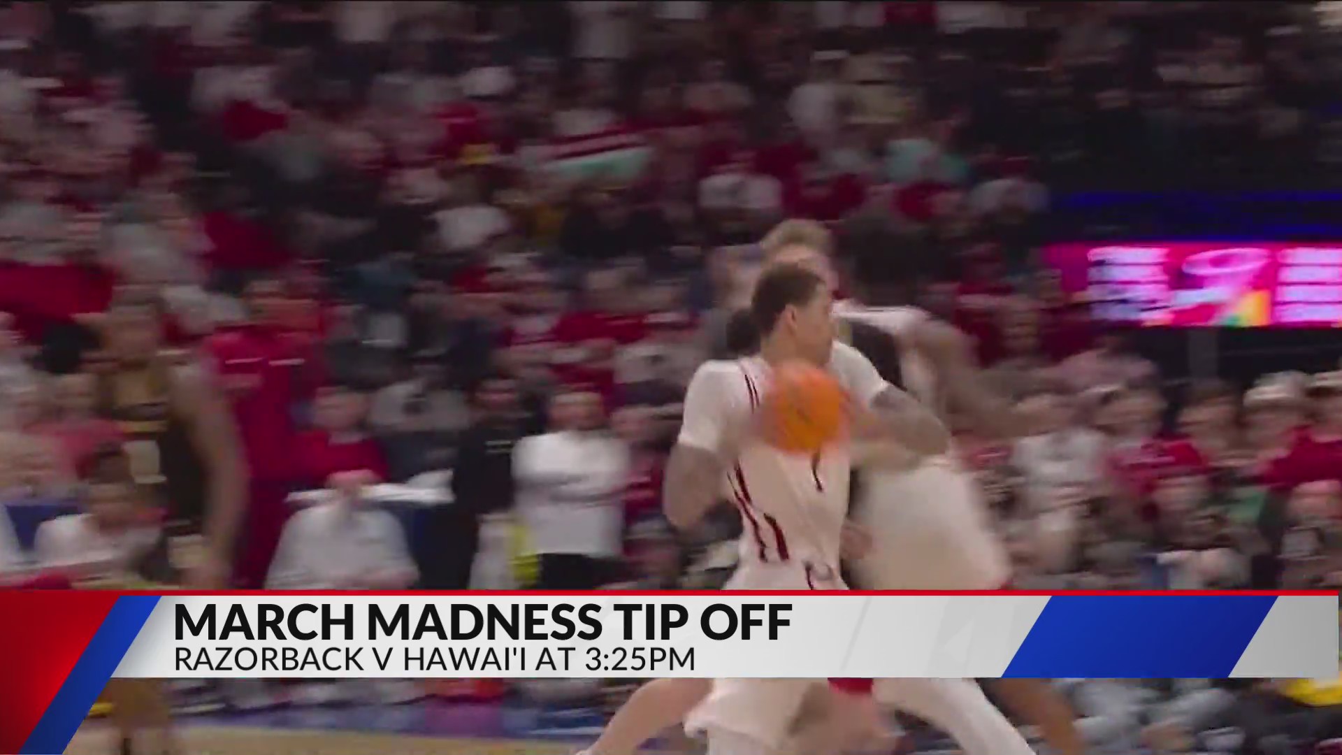 Watch: Razorback fans give their expectations ahead of March Madness ...