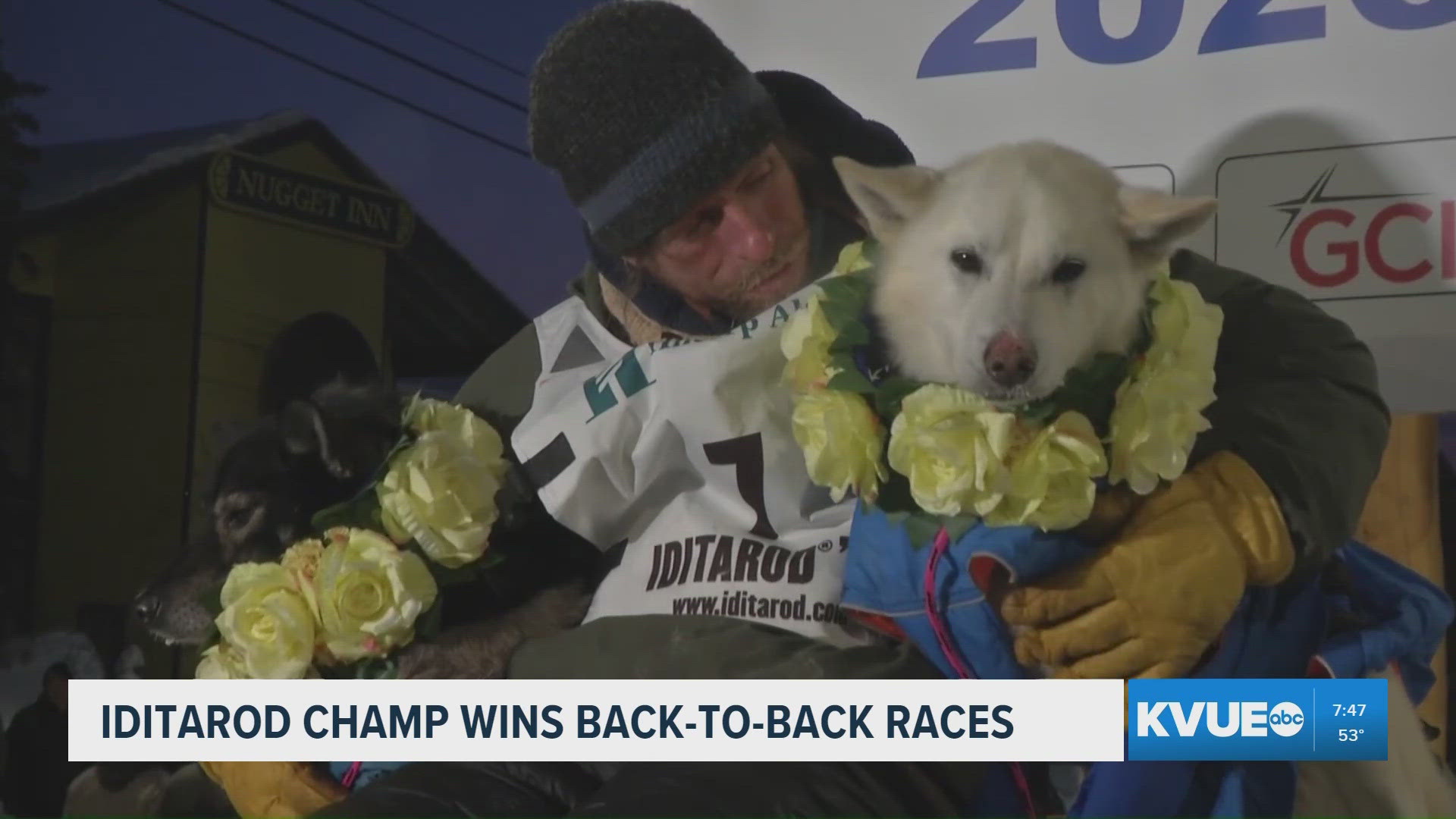 Reality TV star wins 'cruel' 1,000-mile Alaskan dog sled race amid calls  for it to be axed