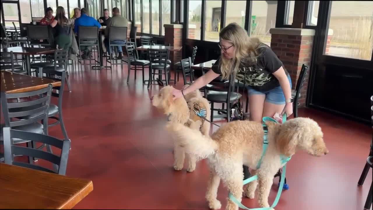 Maverick's in Canton offers wide array of delicious food, dog-friendly ...