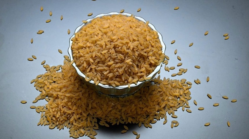 Meet India's high-protein ‘designer rice' built to fight diabetes