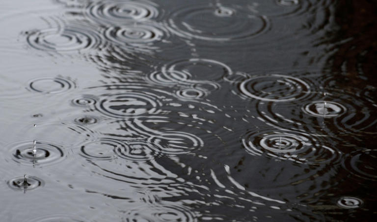 Flood watches in effect across Michigan as rain moves through