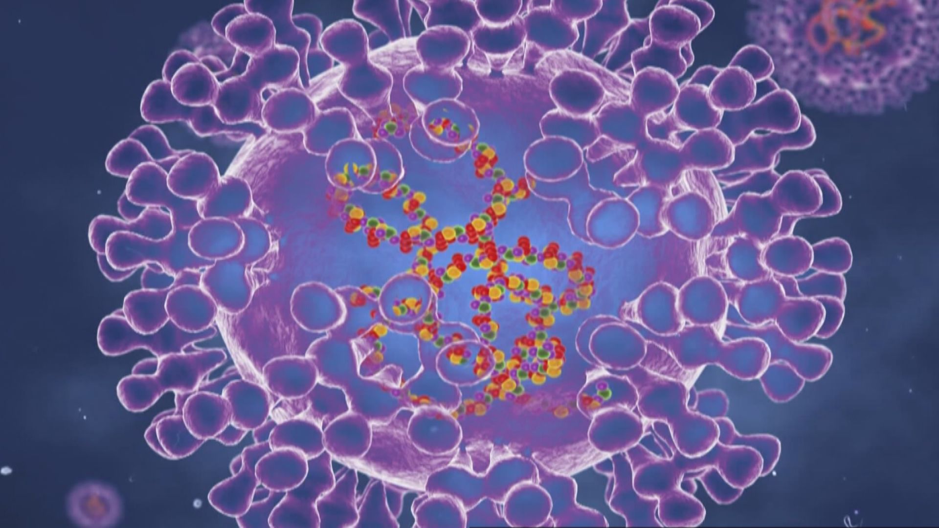 Health matters: Toronto Public Health confirms different variant of ...
