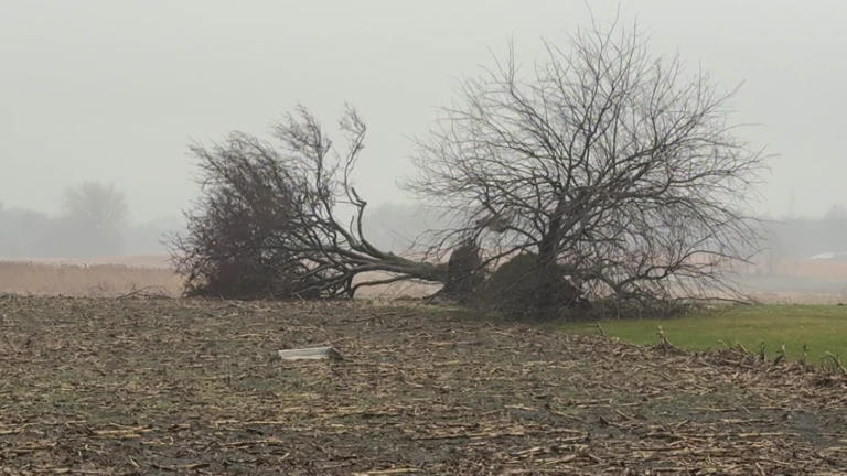 Tornado leaves behind trail of damage in Starke County