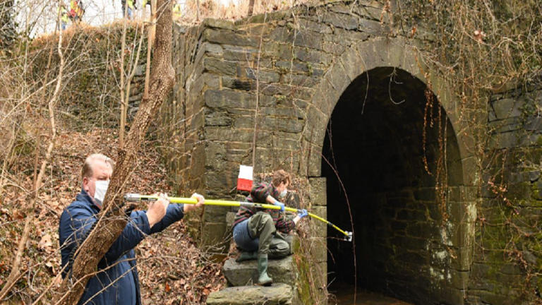 Riverkeeper flags ongoing fecal pollution in Potomac tributary
