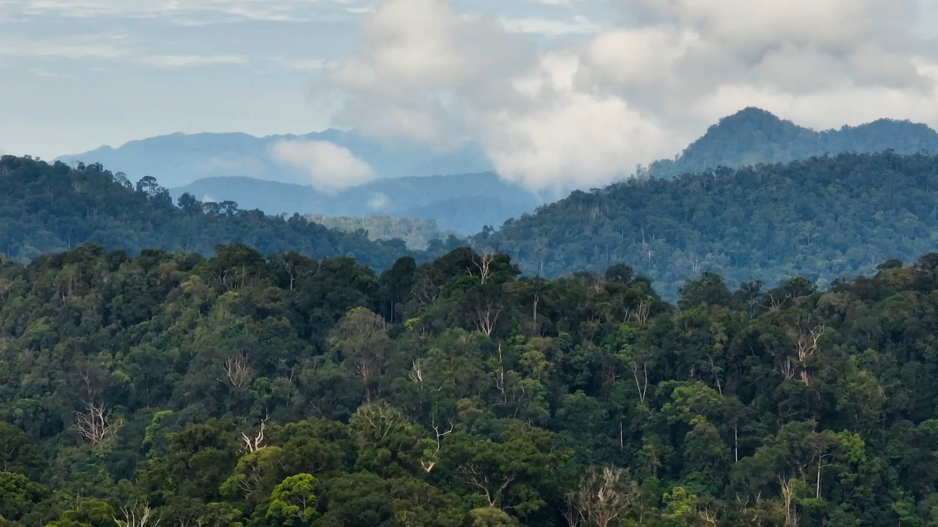 Sumatra: Drone views of Indonesia's adventure island