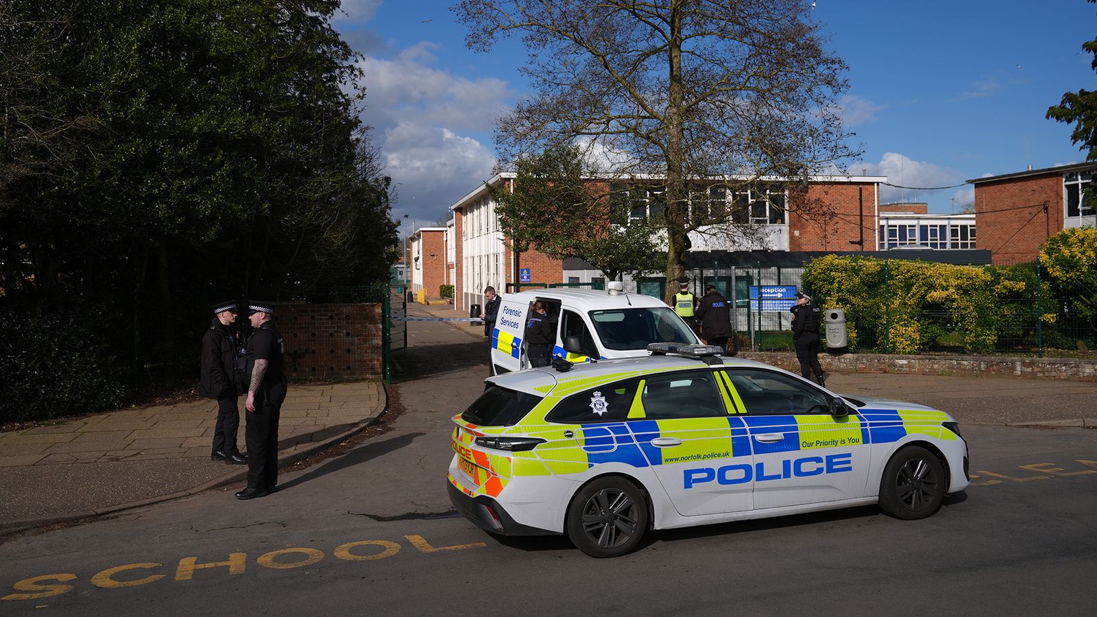 Boy charged with attempted murder after school stabbing appears in court