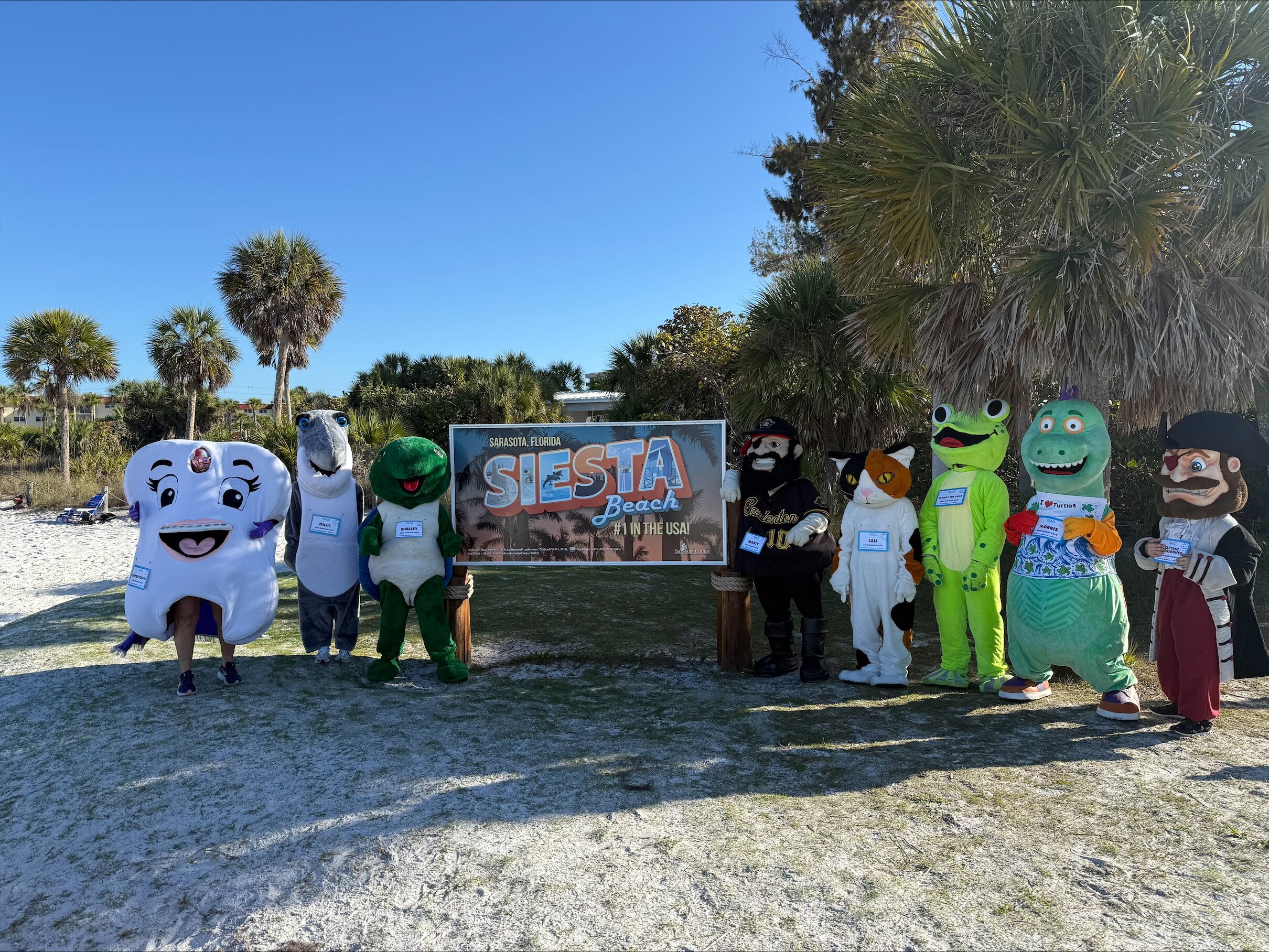 Mascot race at Siesta Key Beach promoting Mote Marine’s Run for the Turtles