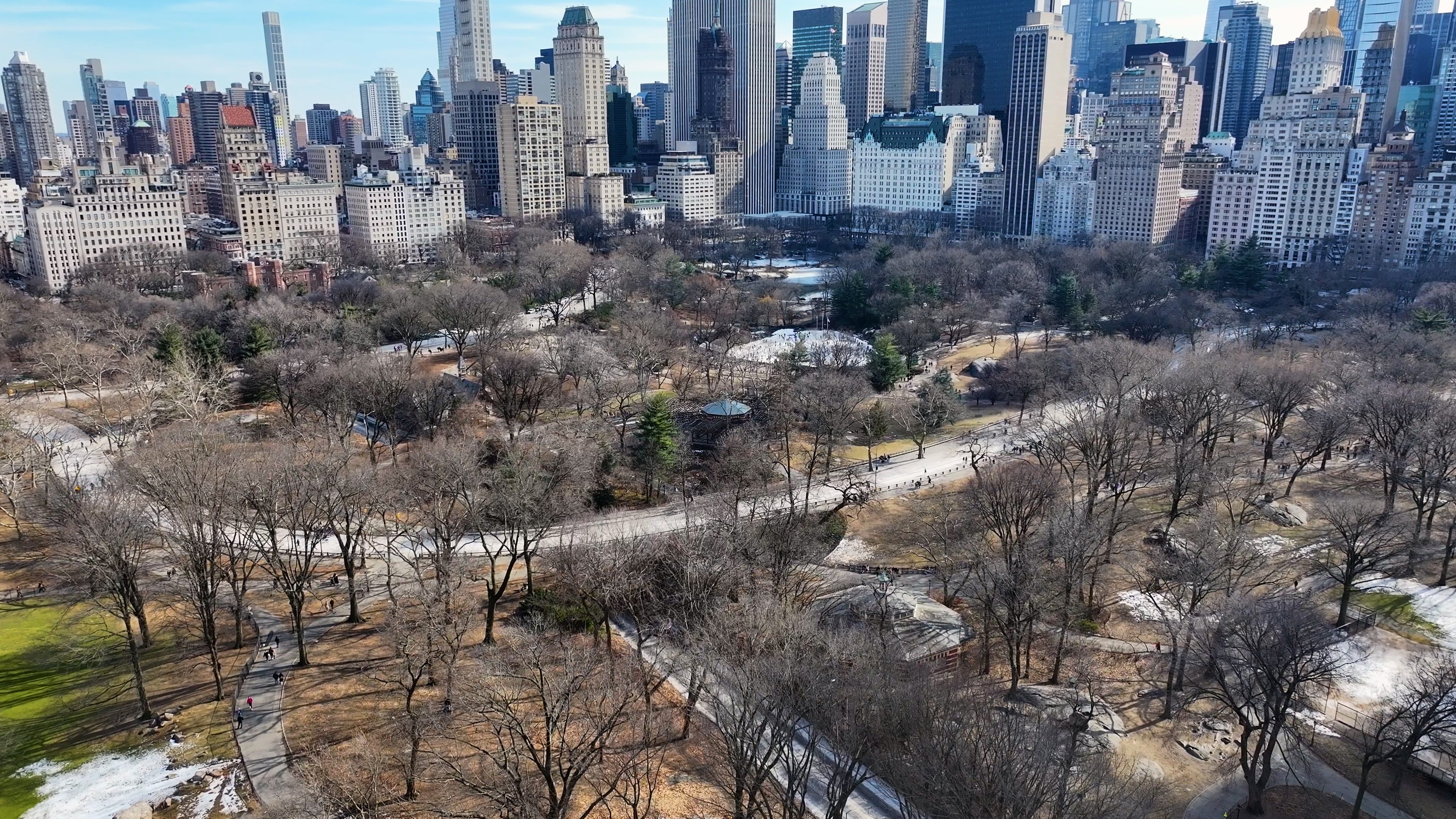 Woman slashed in Central Park vendor territory dispute: sources