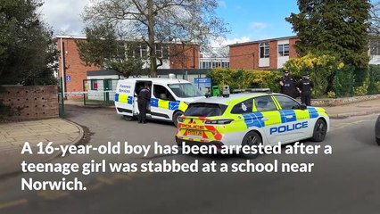 Boy arrested after teenage girl stabbed at secondary school