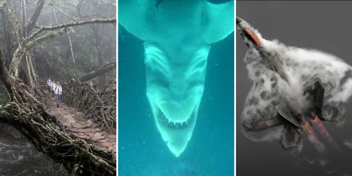 Fascinating posts we found this week