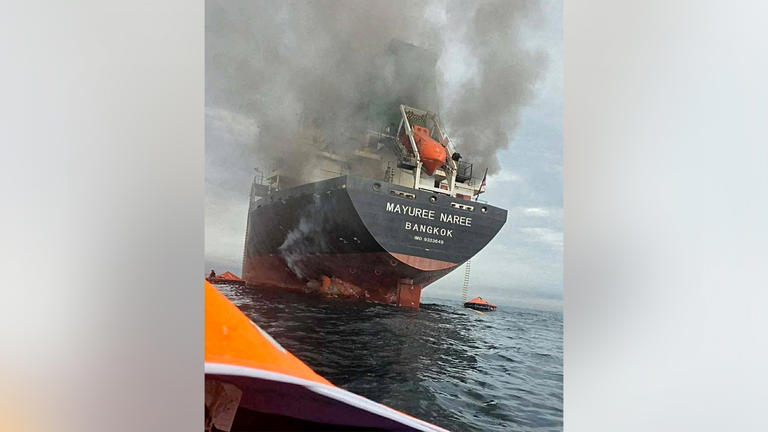Cargo ship struck in Strait of Hormuz amid Iran war