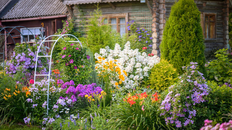 10 popular plants that will thrive in your west-facing garden